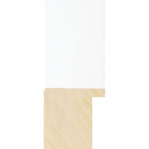 WHITE GLOSS