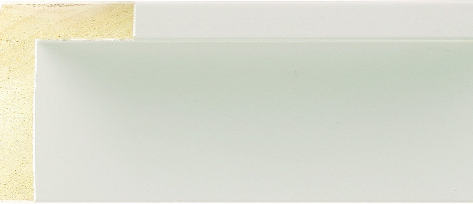 WHITE INLAY MOULDING