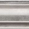 Scoop Silver